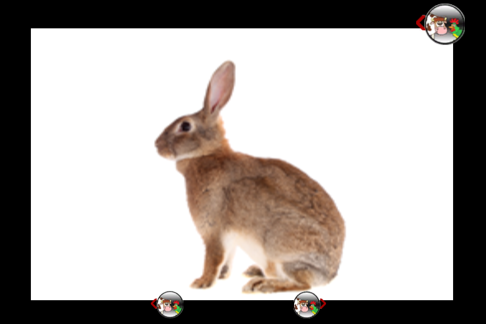 Screenshot farm animals slot machine for kids Screenshot farm animals slot machine for kids